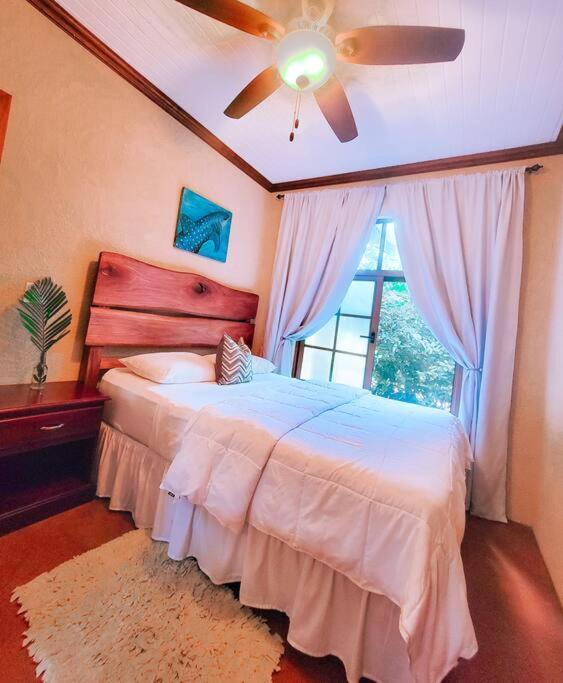 Vive Utila - Bed & Breakfast Extérieur photo