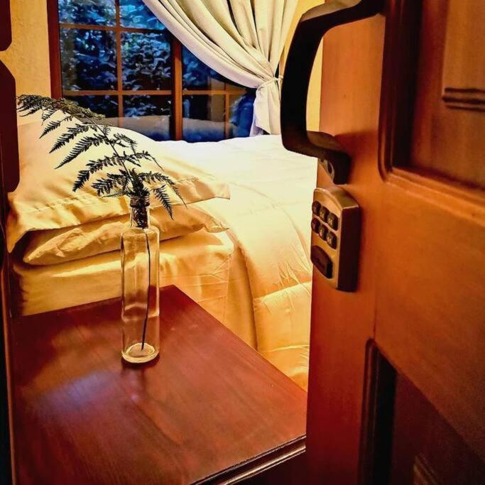 Vive Utila - Bed & Breakfast Extérieur photo